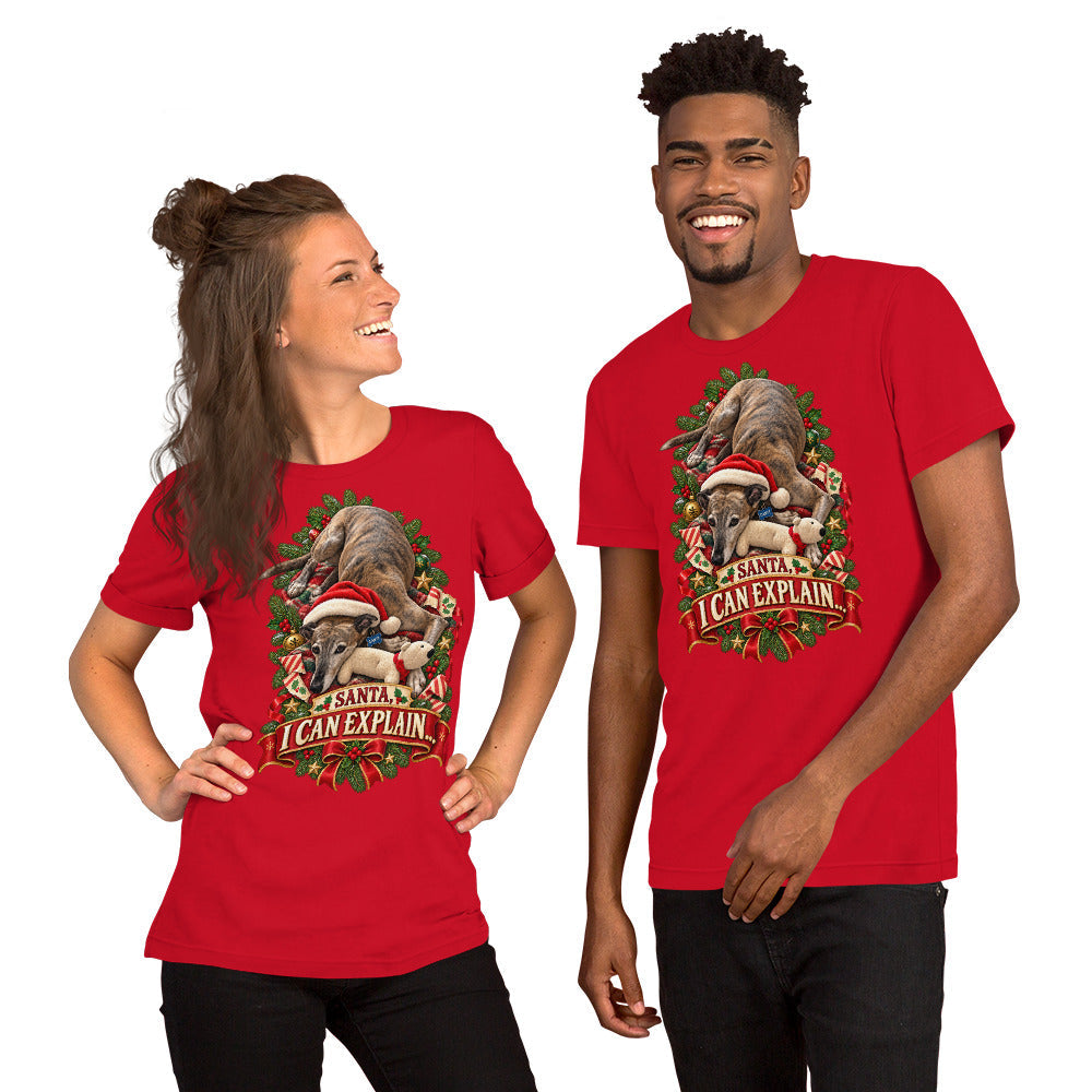 Personalised pet Christmas T-shirt example – Santa I Can Explain design